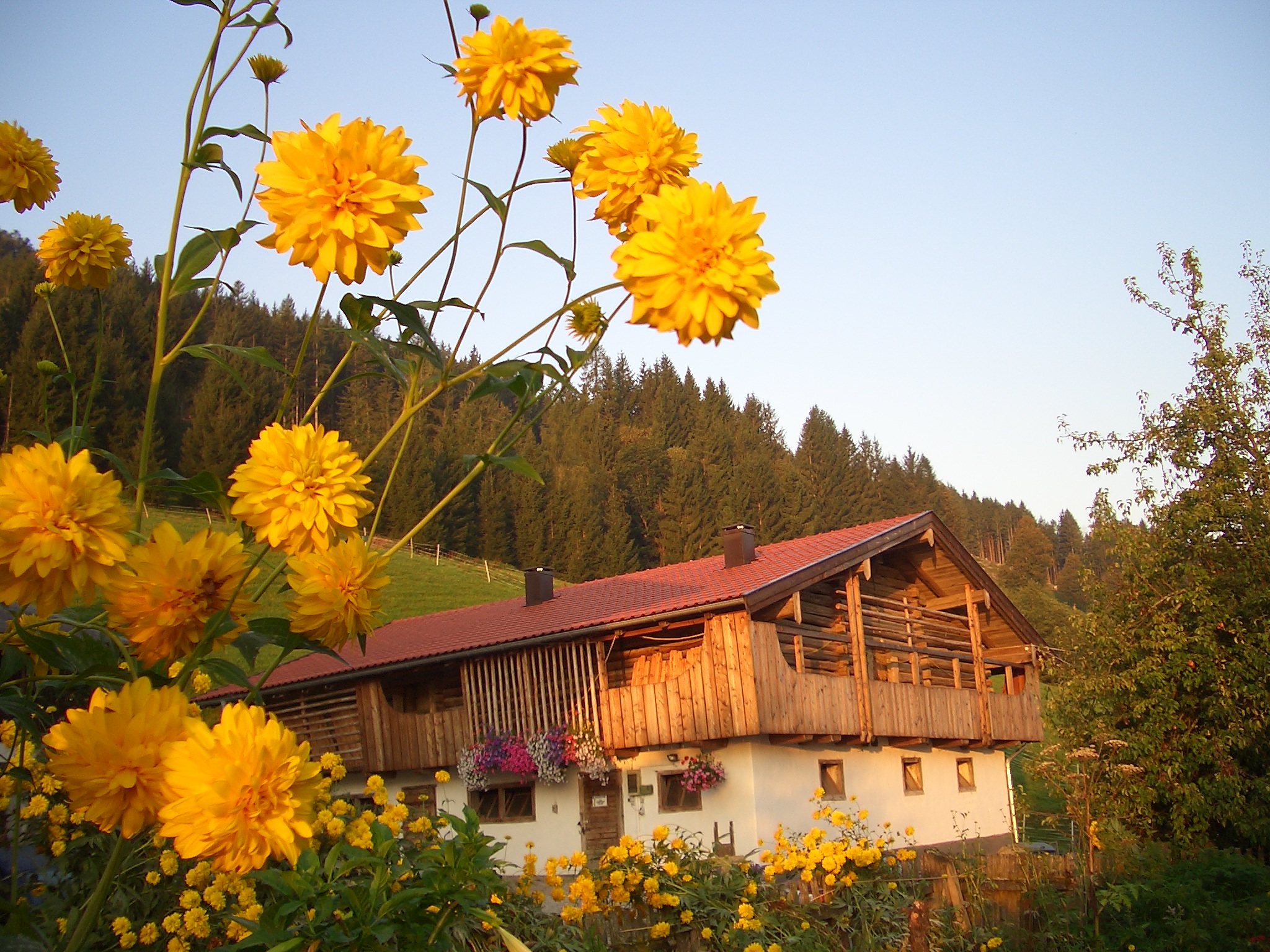 Urlaub am Teglbauernhof im Salzburger Land